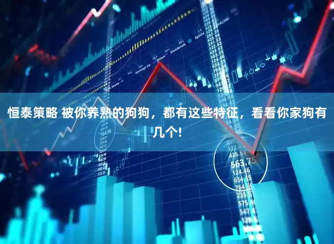 恒泰策略 被你养熟的狗狗，都有这些特征，看看你家狗有几个!